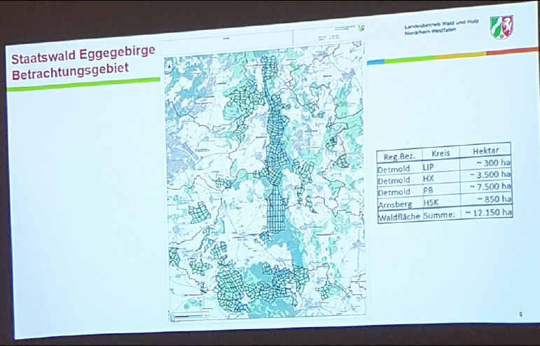 fdphx Borlinghausen 2